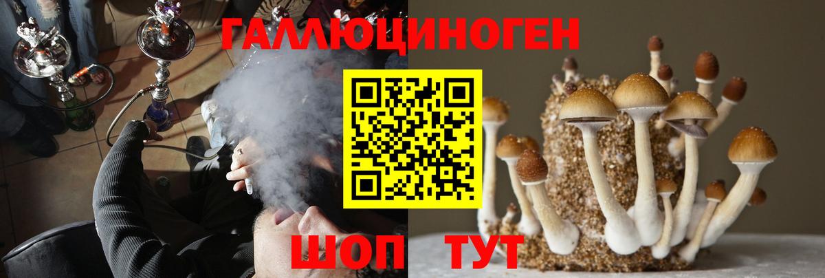Псилоцибиновые грибы прущие грибы  Псилоцибиновые грибы MAGIC MUSHROOMS  Дзержинск  Вход с VPN 